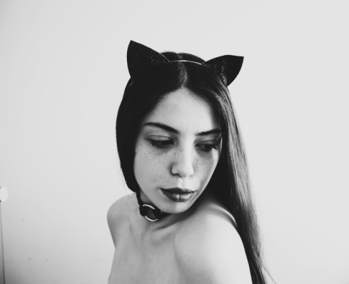 warriormoonchild:  Kitten.