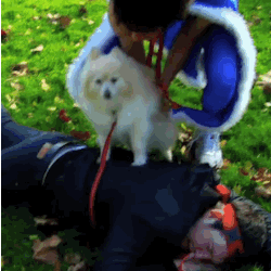 burtersnerch: R.I.P. Princess Tinkles (a.k.a. PRINCEF TAAANX) [ x ]