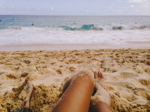 lylarosee:  x