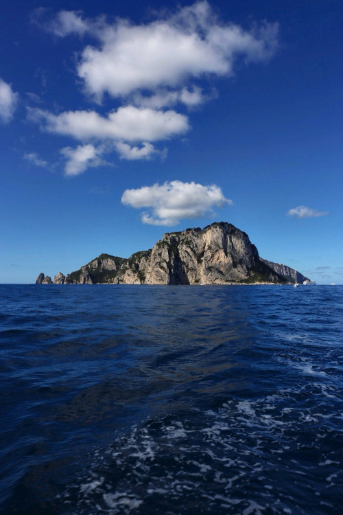 tinnacriss: Capri island by Sa Mu