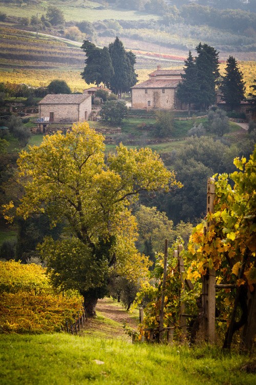 Castellina in Chianti.