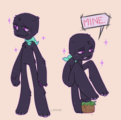 kitsiyo:  Enderman dooble…his name is Kim