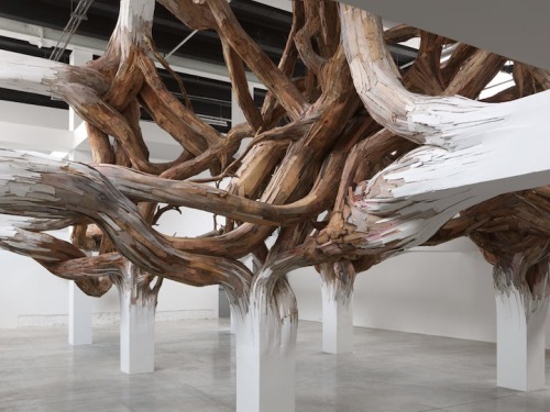 wetheurban:   ART: Baitogogo by Henrique Oliveira Brazilian artist Henrique Oliveira is known for his works that use organic forms for sculptural pieces and installations. He brings his signature style to the Palais de Tokyo in his piece “Baitogogo,”