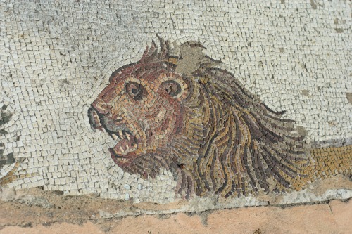 lionofchaeronea:The Nemean Lion.  Mosaic from the island of Paros, artist unknown; 3rd cent. CE.  Ph