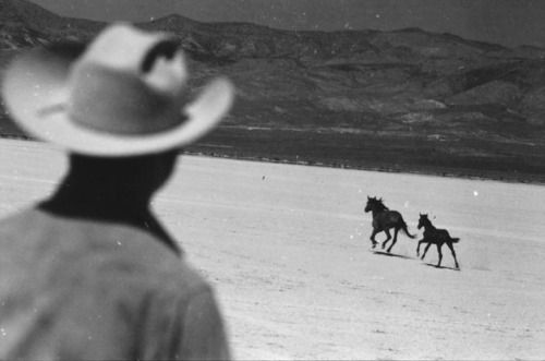 Elliott Erwitt, Reno, Nevada, 1960