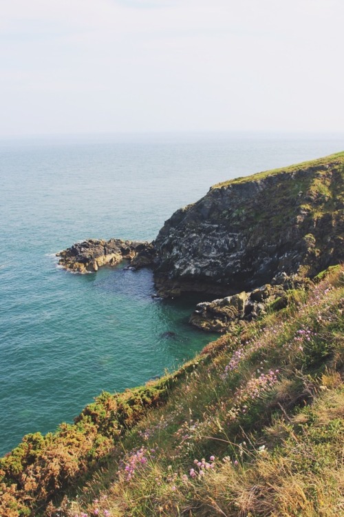 Cliff of Howth, Ireland 2018. Greta Belintende