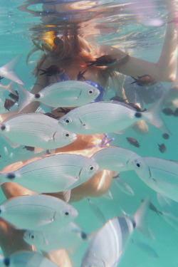 plasmatics-life:  Underwater ~ By ( Perfect-Dream )  o que fazer com esses pexes..