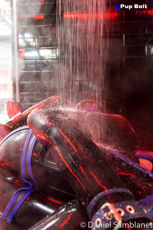 pupbolt:  The ‘Bolt &amp; Squeak Shower Show’ from the club the night before