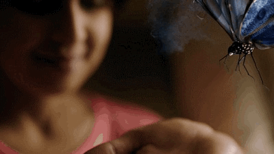 cce7b2f439cbe8d11629999c992fff770695877c.gifv