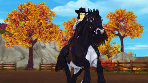 star stable