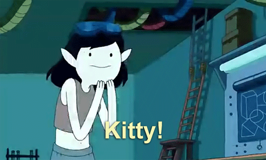ASK FINN
