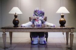 fursuitpursuits:  RT @AuroraBloomm: Good afternoon. What brings you to my office? 👀💜  📸:@hhhellsing https://t.co/z3NTxvqpvk (Source)