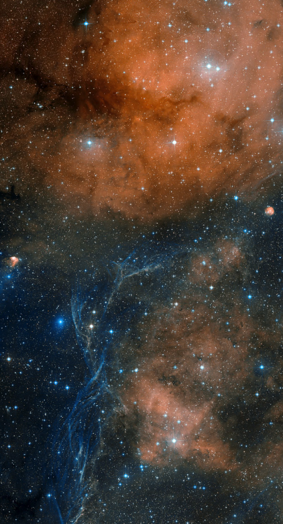 astronomicalwonders:  Star Forming Region Gum 19 This image shows the area around the star-forming region Gum 19, in the direction of the constellation of Vela (the Sail), as seen by the Digitized Sky Survey 2. Gum 19 is an emission nebula that generates