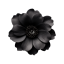 subuccus