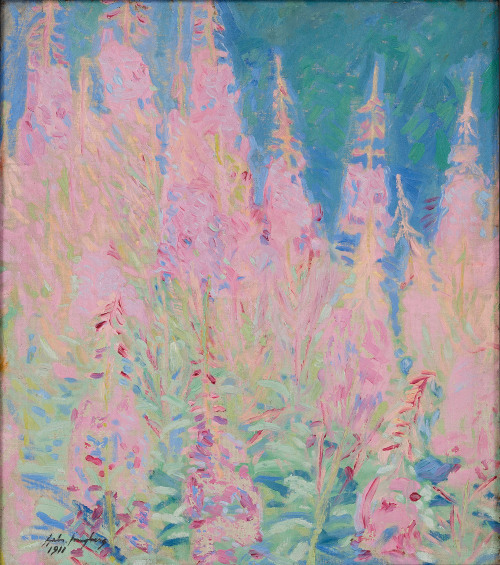 Fireweed.   -   Gabriel Engberg , 1911Finnish,.1872-1953 Oil on canvas,  53x46 cm.