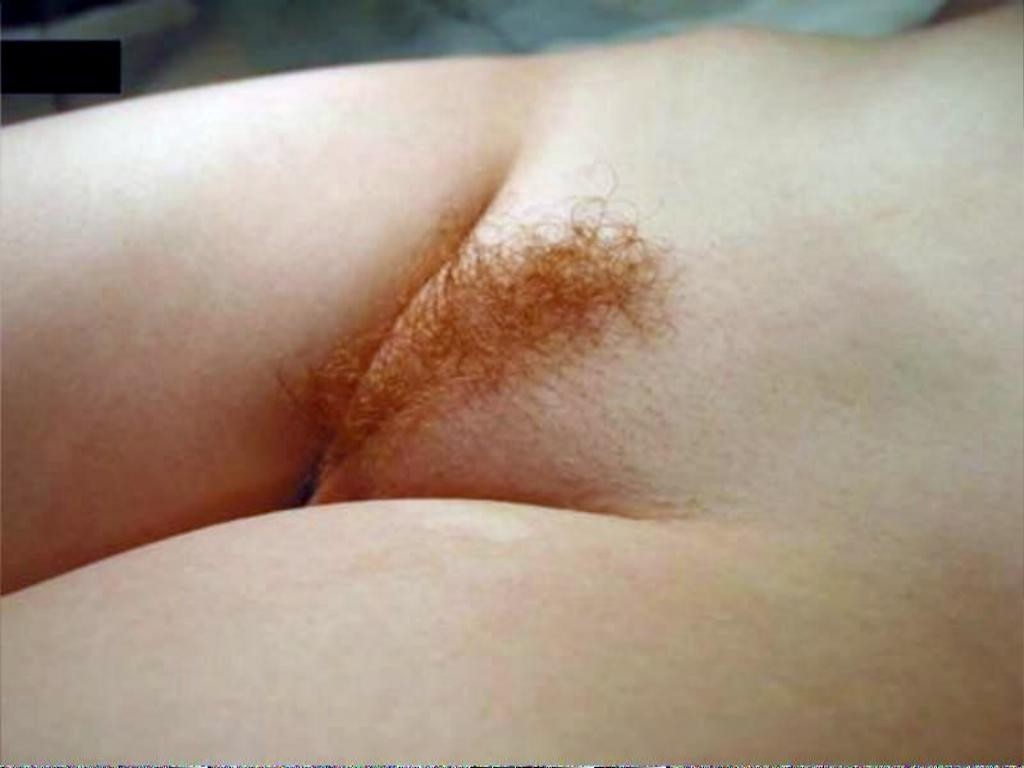 Women pubic hair close up