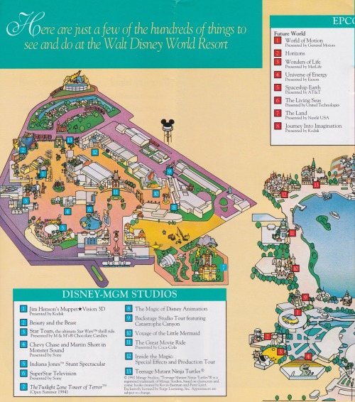 Here are just a few of the hundreds of things to see and do at the Walt Disney World resort
