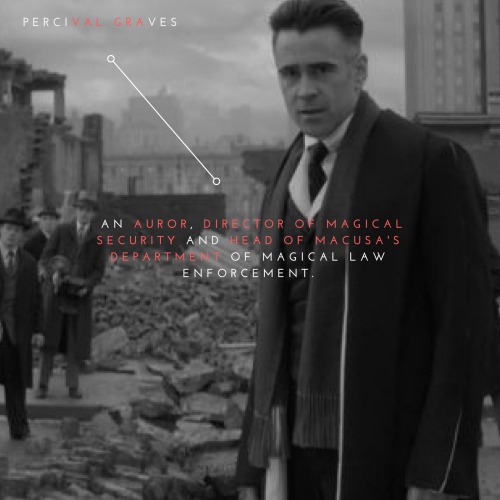 regulusblxack: As the Director of Magical Security, Percival Graves was likely highly professional a