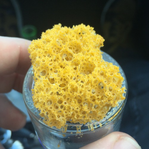 Honeycomb from my lab!