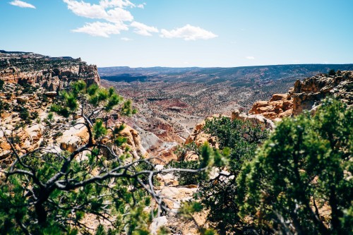 Hiking the Frying Pan Trail to Cassidy ArchCapitol Reef National Park // Utah