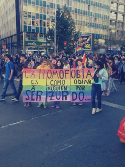 zerincillo:  maiden-of-night:  Marcha por la Igualdad~ Santiago de Chile 11/05/2013  me caen bien los homosexuales, pero odio a los zurdos :c! 