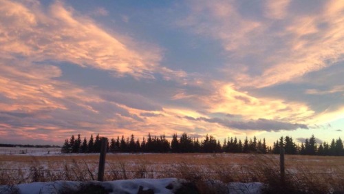 pvnktulip:01.26.16 • the sunsets out in the country were always so pretty