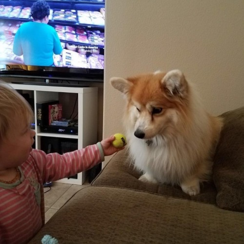 Mom says I’m not allowed to take things from the baby&hellip; but it’s my ball&h
