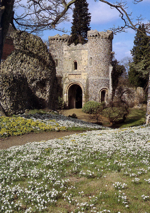 seabois:Norman Castle, Hertfordshire, England