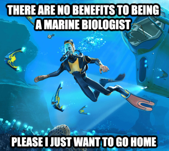 staff:  DREAM TO MEMEWe’re past the point of being able to ignore this now. @pixellecutie​’s sleeping brain dreamed a dream of marine biology, and you’ve all really put in the work to make it a meme in its own right. Who knew there were so many