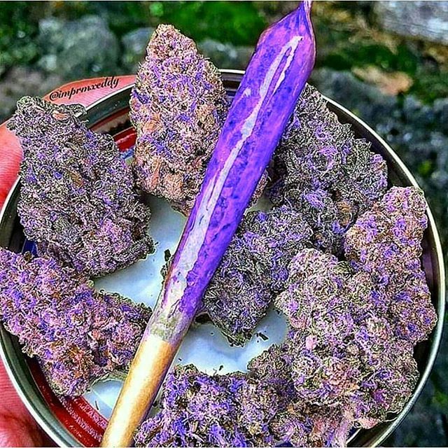 thedailychief:  This joint is lookin like a lightsaber with all that goo! 🤤💜📷: