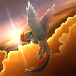 stferrell:    Rainbow Dash by wingedwolf94