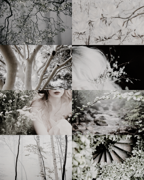 luthien:Galadriel had endeavoured to make Lórien a refuge and an island of peace and beauty, a memo­