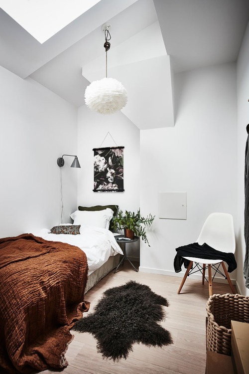 XXX gravityhome:  Small apartment  Follow Gravity photo