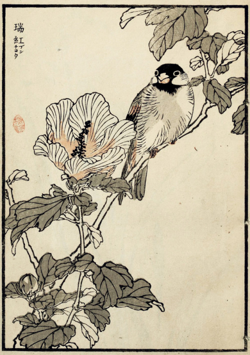 Kōno Bairei (1844-1895), &ldquo;Bairei hyakucho gafu&rdquo;, Vol. 1, 1881Source