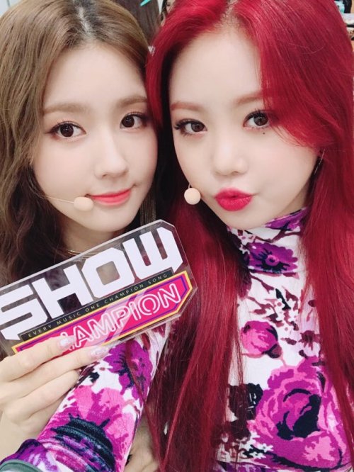 SHOW CHAMPION Twitter Update