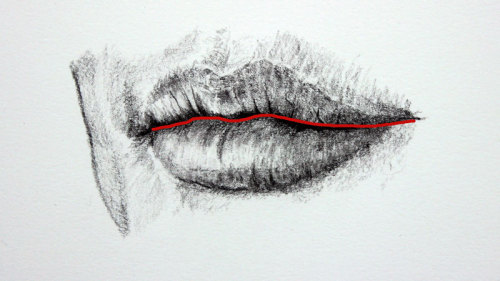 anatoref:  Drawing Lips:Top Image.Row 2,3 & 4Row 5 Left, RightRow 6Row 7