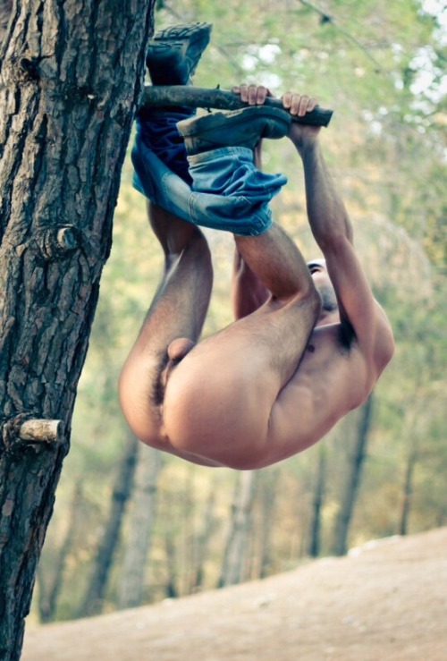 phd-bullrider:  Man do I ever have a nice piece of wood to stick into that tight hole!