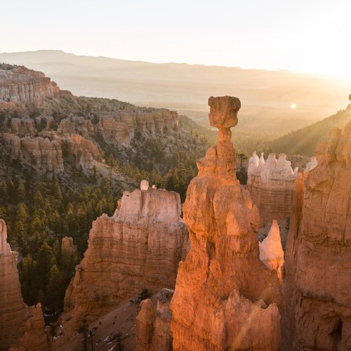 Hammertime #BryceCanyon