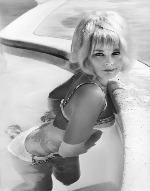 oldieyumyums:  Elke Sommer  