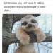 luzdeluna76: