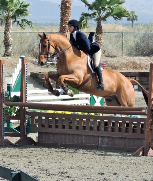 Thermal Week III in the equitation, winning the round!