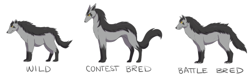 challengerapproaching:  vergess: yokozumi:  mienshaoko:  I’ve had the idea for a while that Pokemon can end up looking pretty different even within in the same species because of selective breeding within a Trainer’s specific field. This is just a