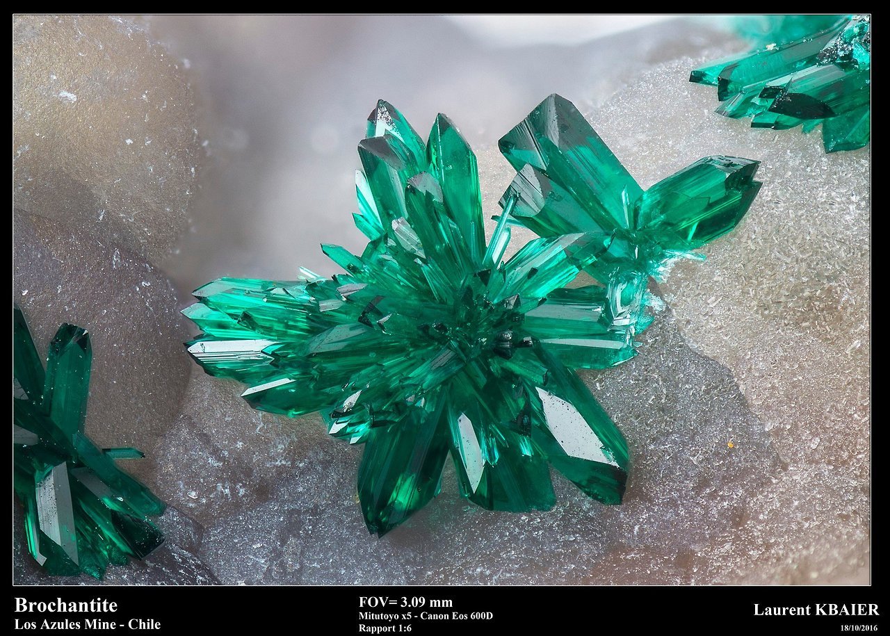 underthescopemineral:    Brochantite    Cu4SO4(OH)6Locality:Los Azules mine, Quebrada