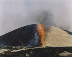 conniesewer:  Rinko Kawauchi, photograph from the series “Ametsuchi”, 2012-2013, c-prints.  