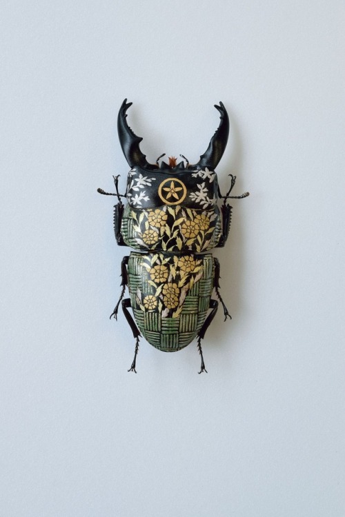 steampunktendencies:  Oil on Beetle by Akihiro Higuchi  