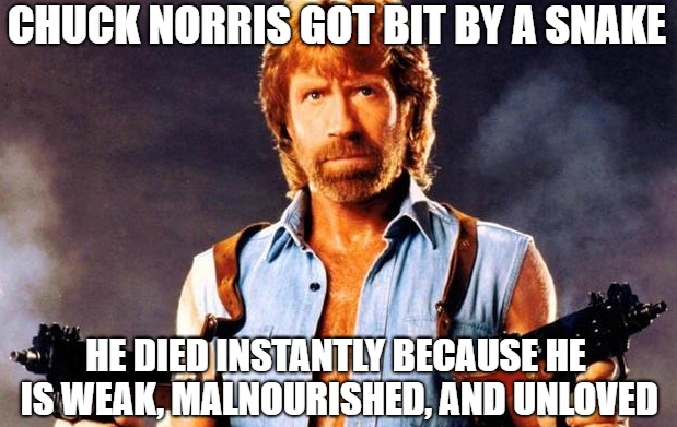 devilrena: wigmund:  radiation:  radiation: because chuck norris is a racist we now