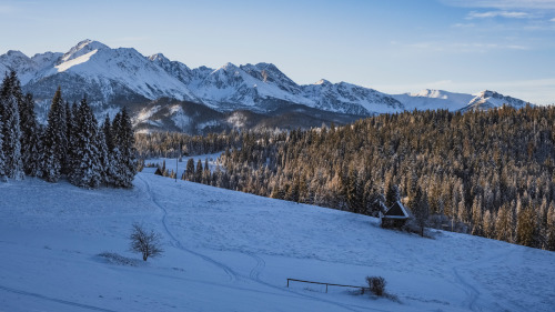 Tatra Mountains from GłodówkaTatry z Głodówki