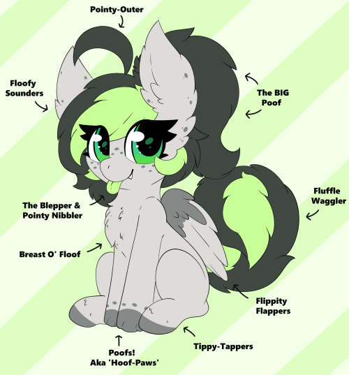 The Anatomy Of Your Local Dog Horse!Twitter | Patreon | Reblog me? &lt;3