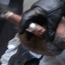 colacigarguy:  IML head