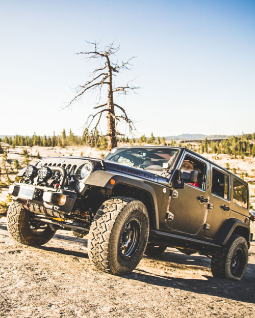 jeep:These wheels are meant for climbing.